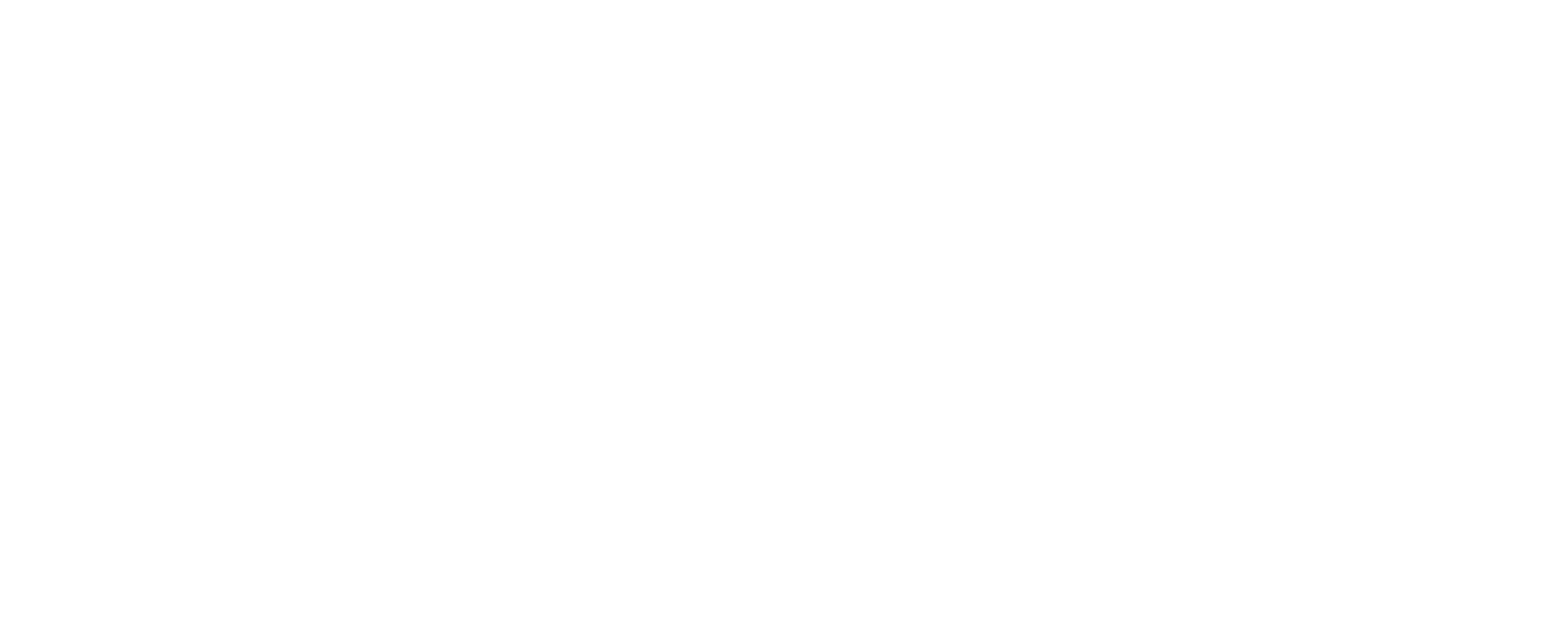 BoomTown Logo