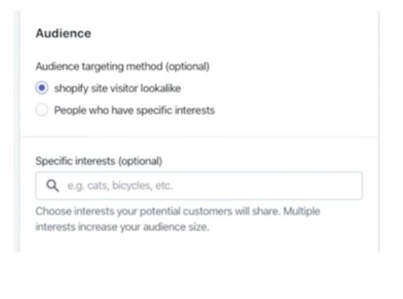 Screenshot of audience targeting method