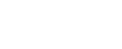 Total Expert Logo