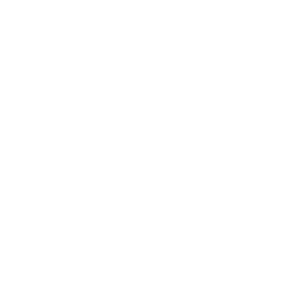 Second Century Ventures Logo - White